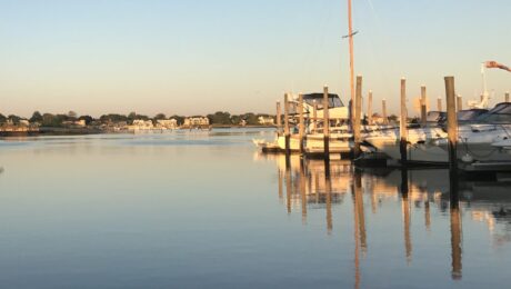 Boats in marina